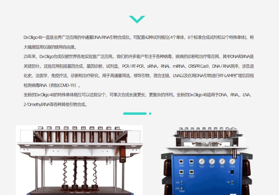 Dx Oligo 48 合成仪(图1)